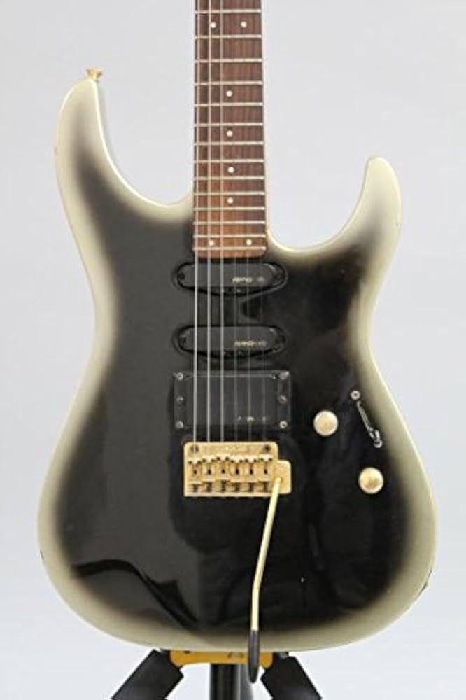 Amazon | FERNANDES/FR-42 / 銀黒 | エレキギター | 楽器・音響機器